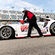 Illustration for article titled Here Is Your 2019 24 Hours Of Daytona Mega Gallery